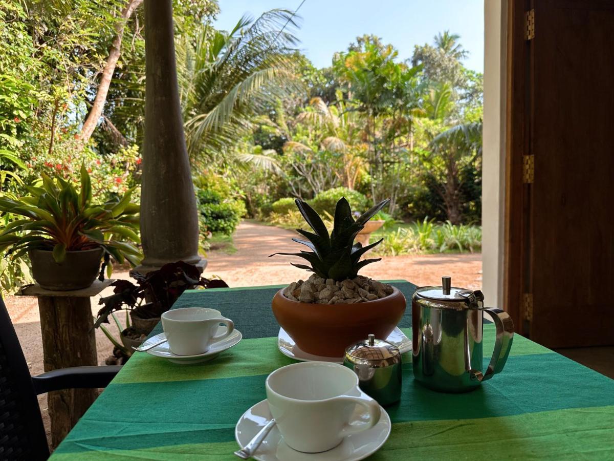 Midigama Inn Ahangama Exteriér fotografie